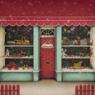 C01 Toy Shop Window